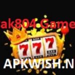 pak804-game