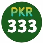 Pk 333 Game