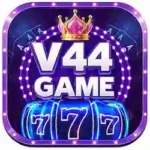 V44 Game