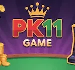 pk11-game