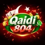 qaidi-804-game