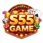 s55-game