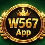 w567-game