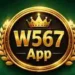 w567-game