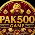 pak500-game